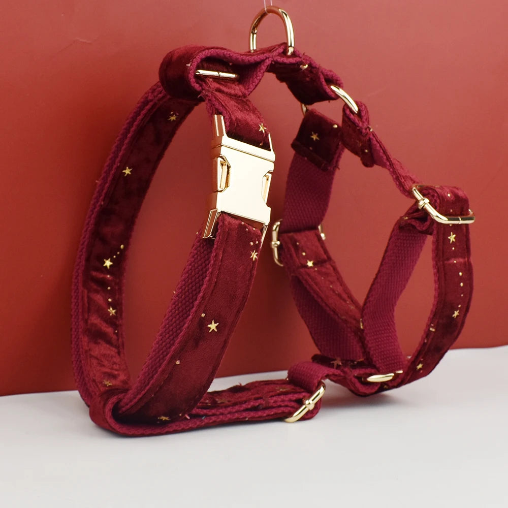 Red Personalized Dog Collar, Leash & Harness Set