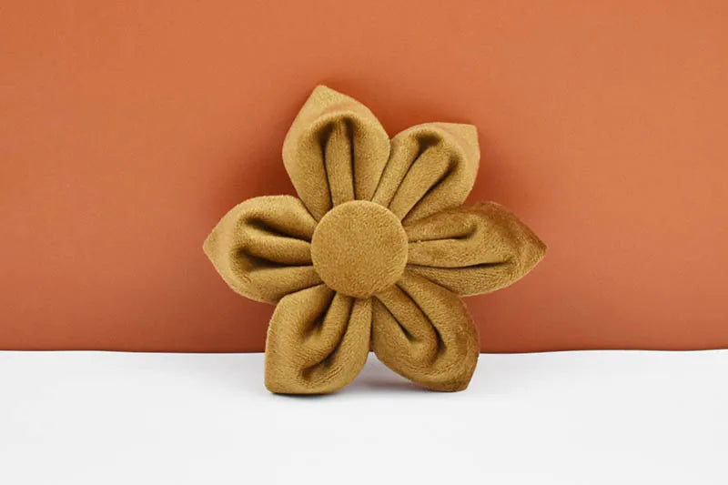 Light Coffee Color Velvet Personalized Dog Collar, Leash & Harness Set