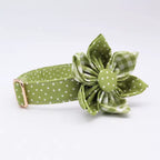 Green Polka Dot Floral Dog Collar and Leash Set