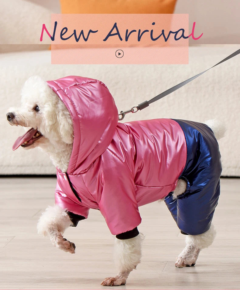 Waterproof Winter Dog Jacket – Warm Down Coat with Hood for Small Dogs