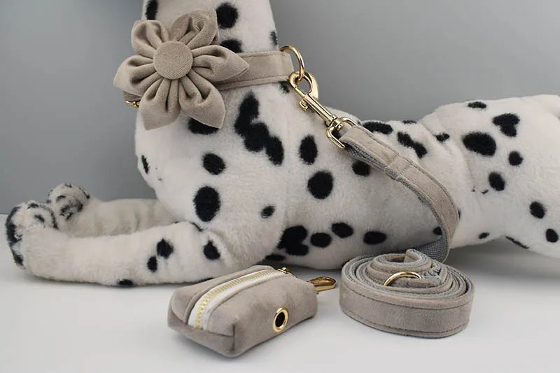 Light grey Velvet Personalized Dog Collar, Leash & Harness Set