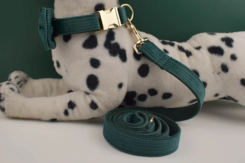 Dark green Corduroy Personalized Dog Collar, Leash & Harness Set