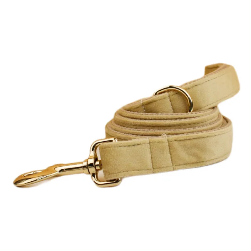 Nude Velvet Personalized Dog Collar, Leash & Harness Set