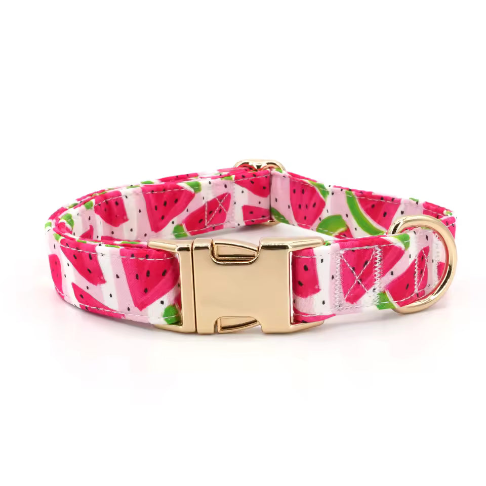Watermelon Dog Collar and Leash Set