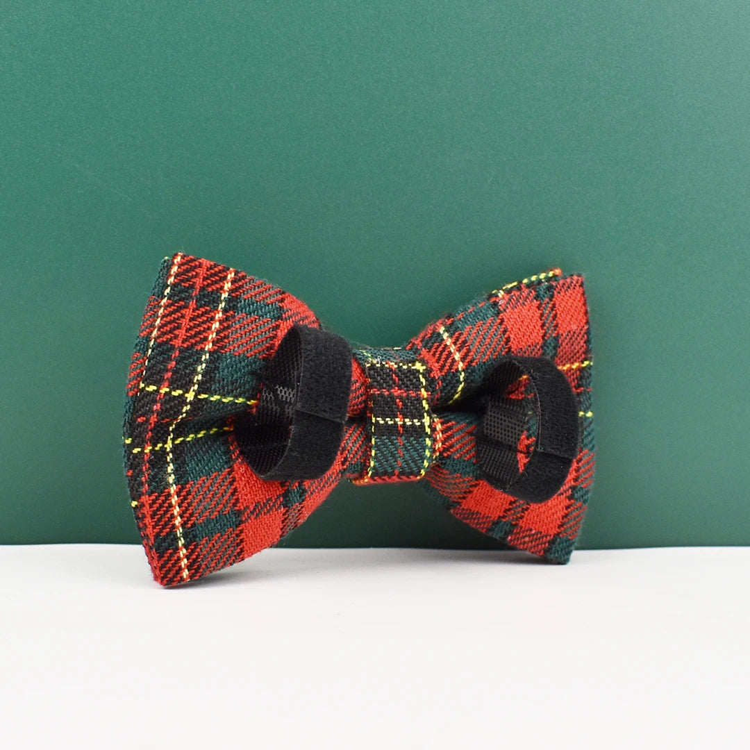 Personalized Dog Collar, Leash & Harness Set