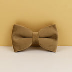 Shallow Khaki Velvet Personalized Dog Collar, Leash & Harness Set