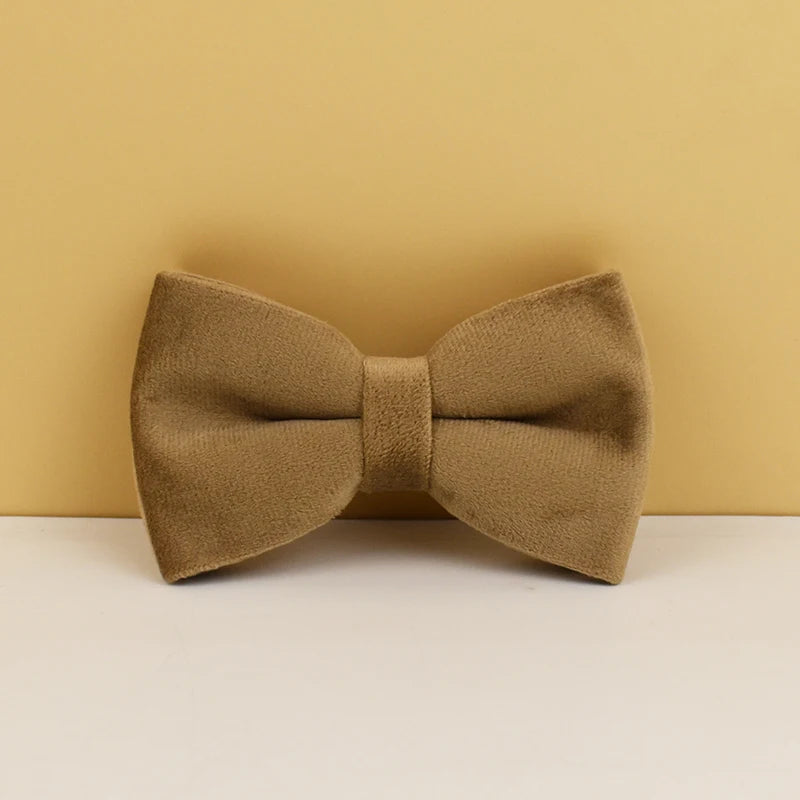 Shallow Khaki Velvet Personalized Dog Collar, Leash & Harness Set