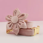 Pale Pink Velvet Dog Collar Leash and Harness Set