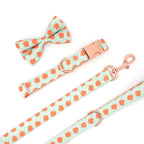 Peachy Keen Dog Collar and Leash Set