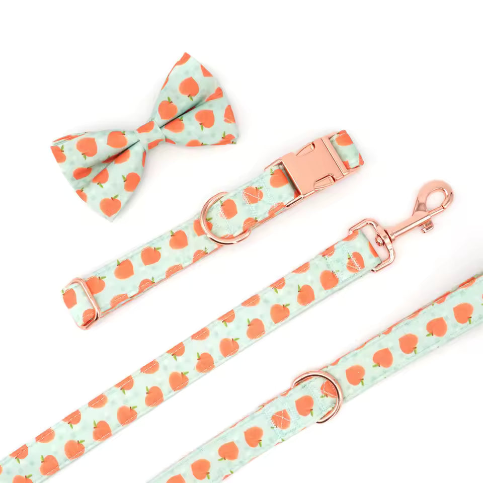 Peachy Keen Dog Collar and Leash Set
