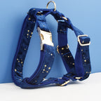 Dark Blue Personalized Dog Collar, Leash & Harness Set