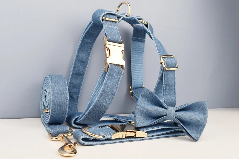 Personalized Dog Collar, Leash & Harness Set