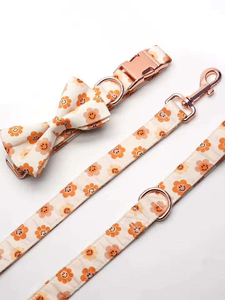 Designed Autumn Dot Dog Vest Set