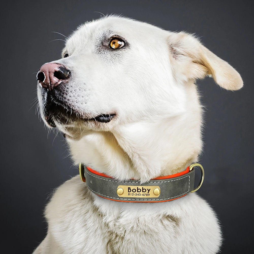 Personalized PU Leather Dog Collar – Soft Padded & Adjustable Custom ID Collar