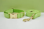 Apple Fruit Green Corduroy Personalized Dog Collar, Leash & Harness Set