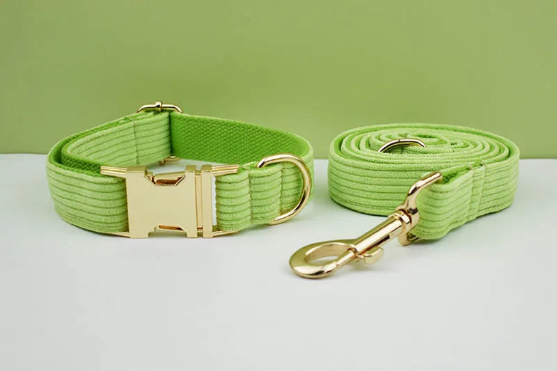 Apple Fruit Green Corduroy Personalized Dog Collar, Leash & Harness Set