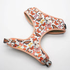 DDPaws  Butterly  Doggy Dog Harness Personalized 5pcs,Set Pet Harness Bowtie Collar Leash Poop Bag