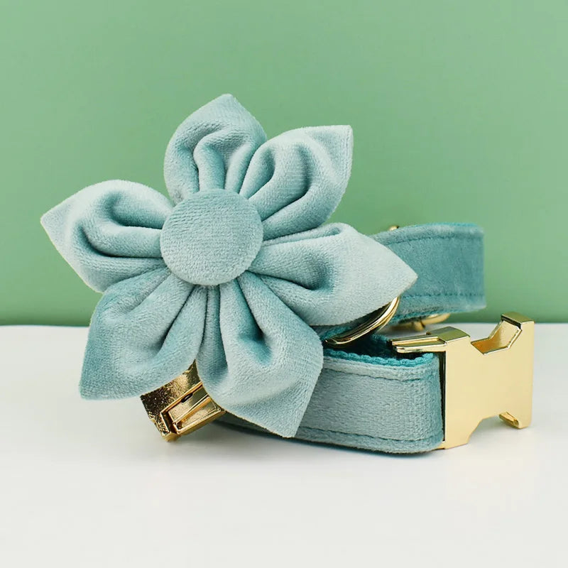 Green Velvet Personalized Dog Collar, Leash & Harness Set