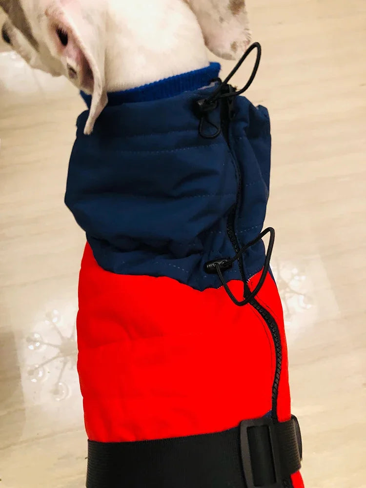 Waterproof Thick Cotton Dog Jacket – Super Warm Winter Coat for All Breeds