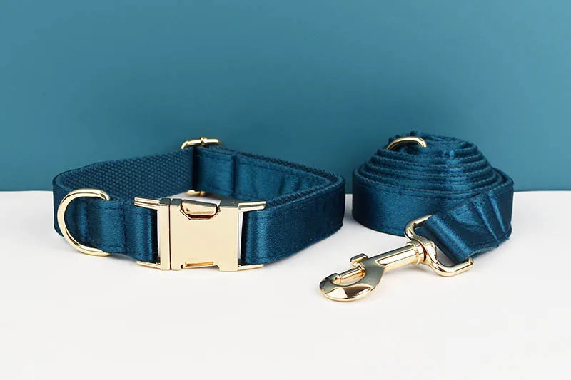 Personalized Dog Collar, Leash & Harness Set