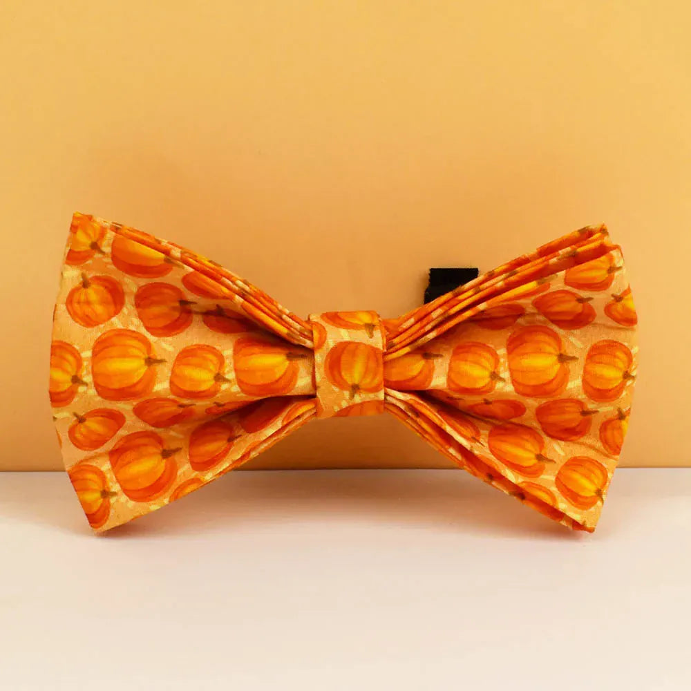 DDPaws  Bowtie / XS Halloween Pumpkin Print Set