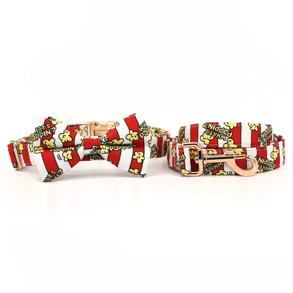 Pupcorn Party Dog Collar and Leash Set