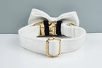 White Velvet Personalized Dog Collar, Leash & Harness Set