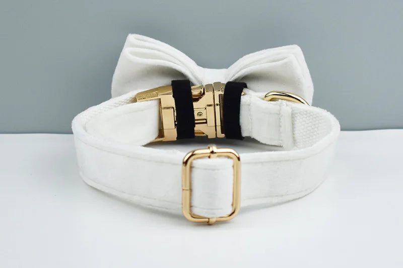 White Velvet Personalized Dog Collar, Leash & Harness Set