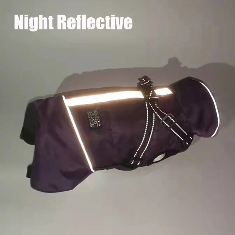 Winter Dog Jacket with Harness – Waterproof, Windproof Coat for Small & Medium Dogs