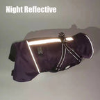 Winter Dog Jacket with Harness – Waterproof, Windproof Coat for Small & Medium Dogs