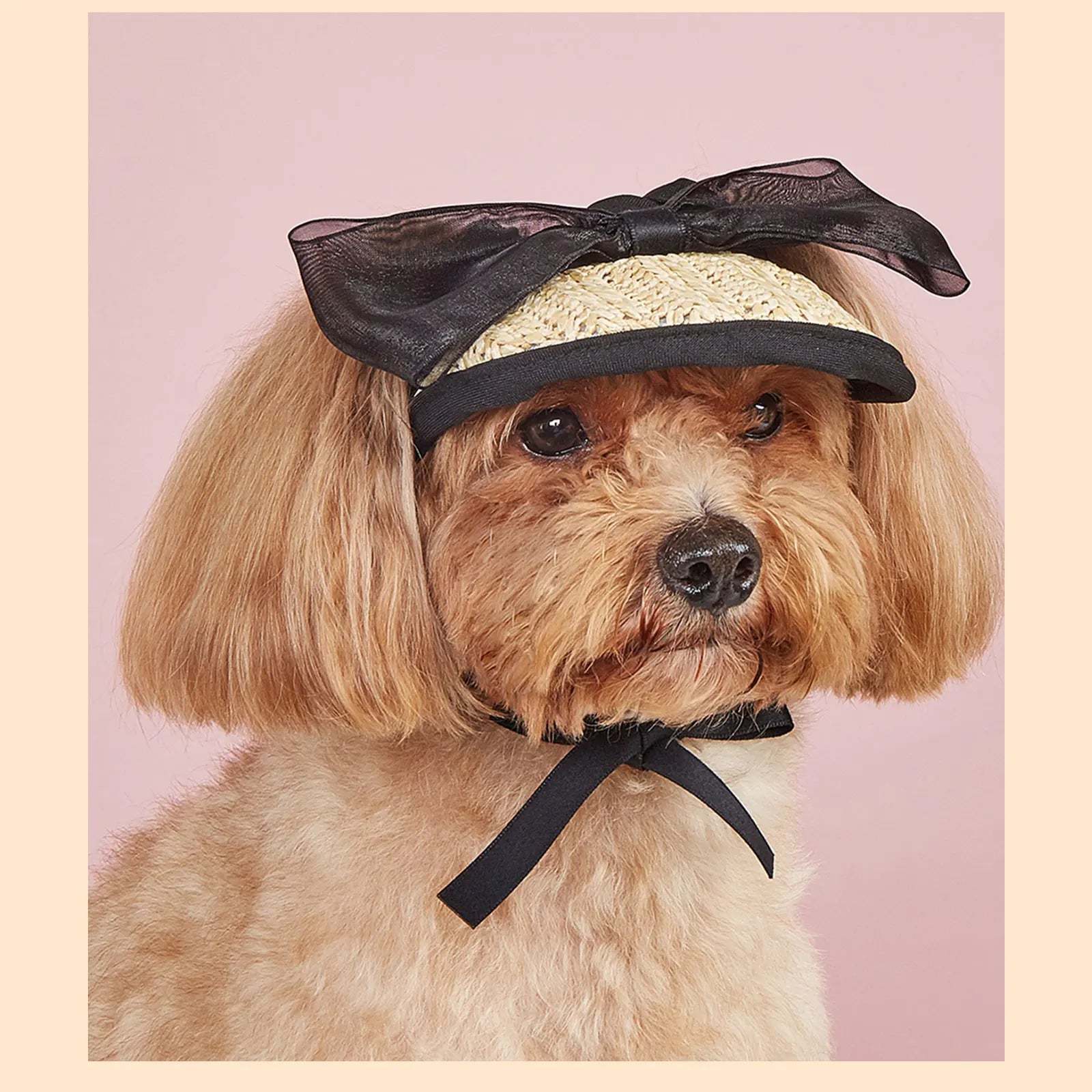 Summer Pet Sun Hat – Adjustable Lace Bow Cap for Dogs & Cats