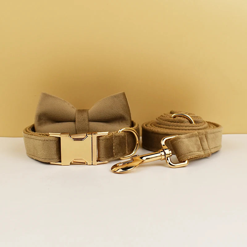 High Quality Dog Collar & Leash Set – Personalized Engraved Nameplate, Padded