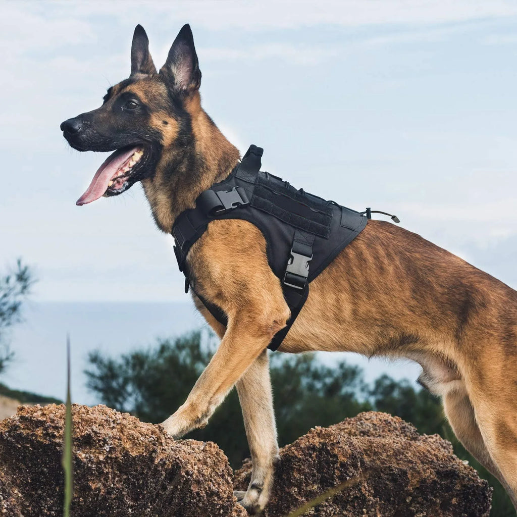 Tactical Dog Harness – Adjustable No-Pull Service Vest with Handle & Hook-and-Loop Panels