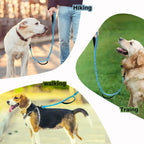 Heavy-Duty Bungee Dog Leash – 5ft Shock-Absorbing Lead with Dual Handles