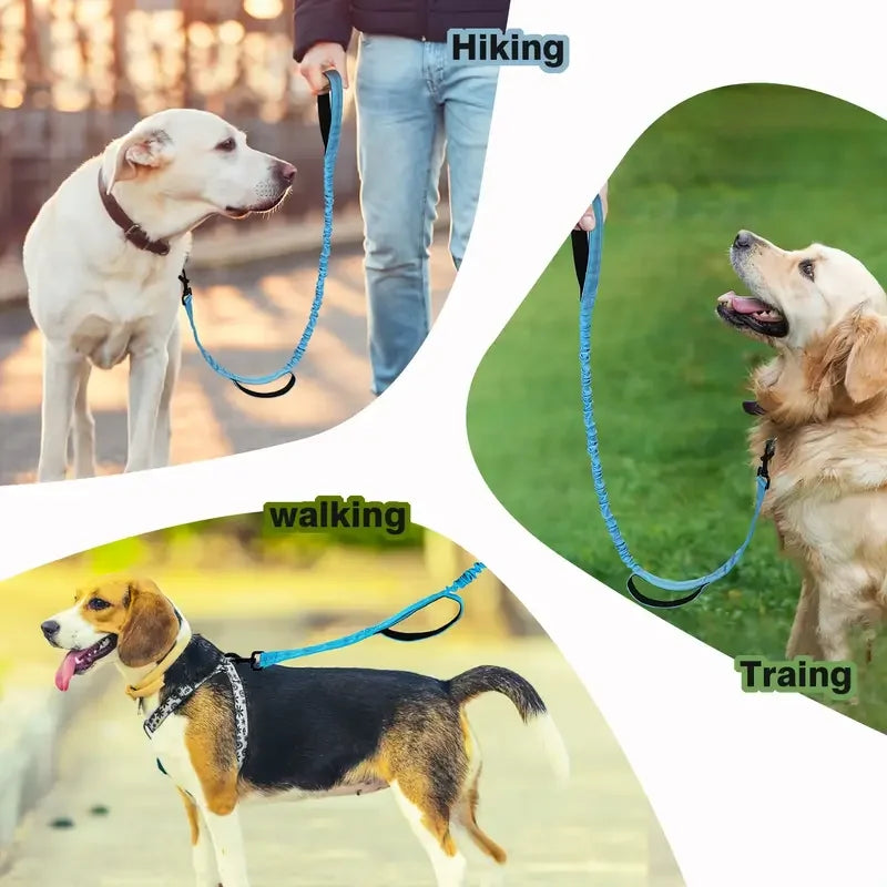 Heavy-Duty Bungee Dog Leash – 5ft Shock-Absorbing Lead with Dual Handles