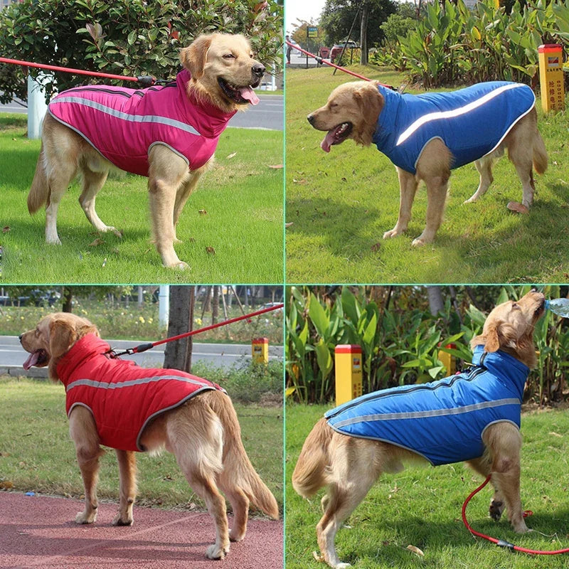 Waterproof Winter Dog Coat – Padded Fleece Jacket for Large Dogs