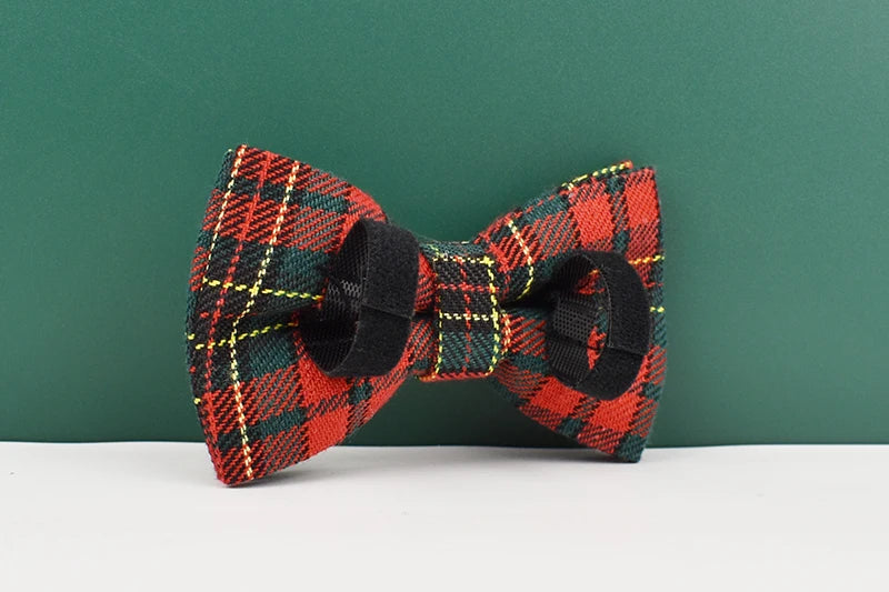 Personalized Dog Collar, Leash & Harness Set