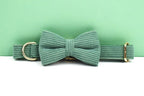 Dark Green Corduroy Personalized Dog Collar, Leash & Harness Set