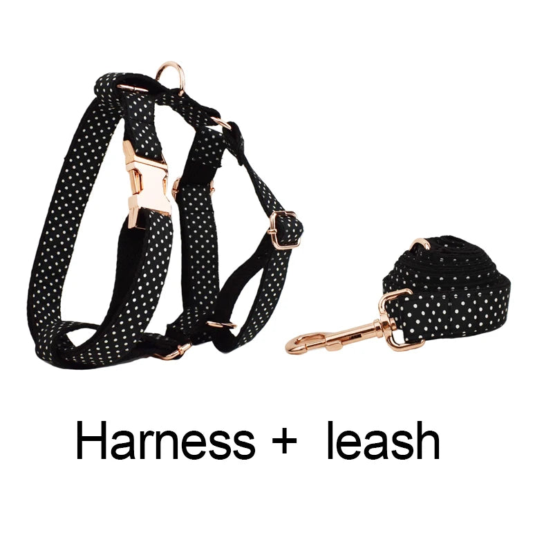 Personalized Dog Collar, Leash & Harness Set