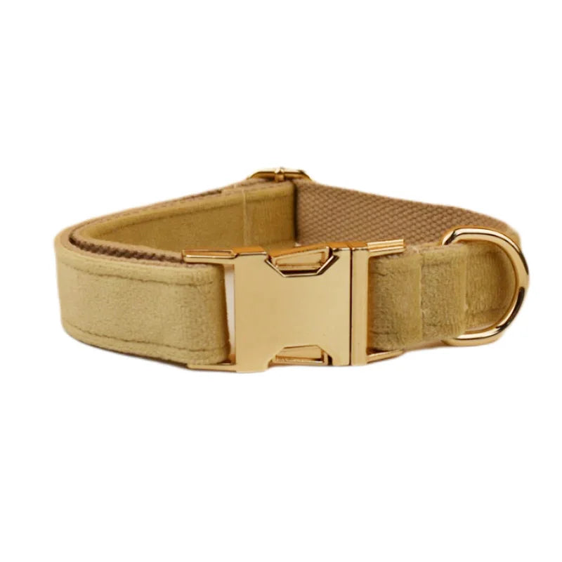 Nude Velvet Personalized Dog Collar, Leash & Harness Set