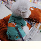 Denim Dog Jacket – Spring Outfit with D-Ring for Small & Medium Dogs