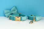Turquoise Stone Velvet Personalized Dog Collar, Leash & Harness Set