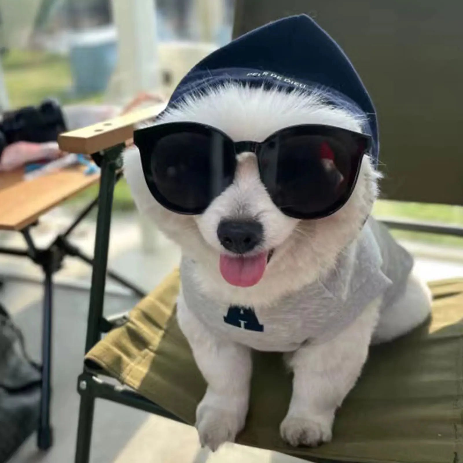 Winter Warm Dog Hoodie – Soft Polyester Pullover for Small & Medium Dogs