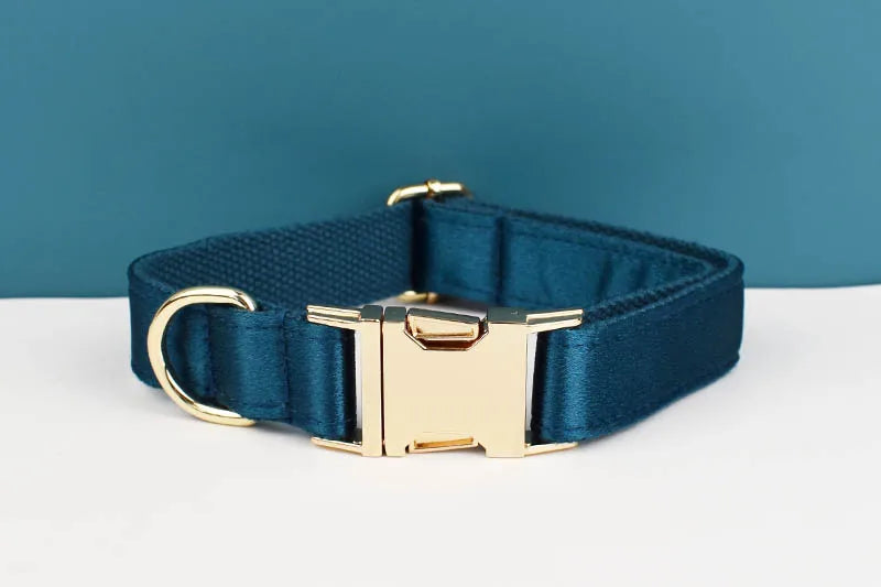 Personalized Dog Collar, Leash & Harness Set