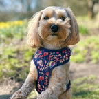 Designed Midnight Melody Floral Dog Vest Set