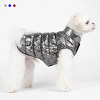 Winter Down Dog Jacket – Windproof Padded Coat for Small & Medium Dogs