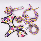 DDPaws  Floral Customized Dog Collar Flower Leash with Matching Harness,banandana,poo bag set for your pet