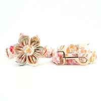 Vintage Bloom Floral Dog Collar and Leash Set