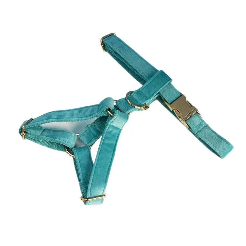 Turquoise Stone Velvet Personalized Dog Collar, Leash & Harness Set