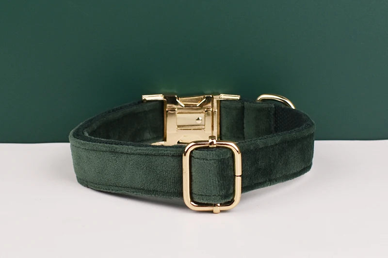 Velvet Personalized Dog Collar, Leash & Harness Set